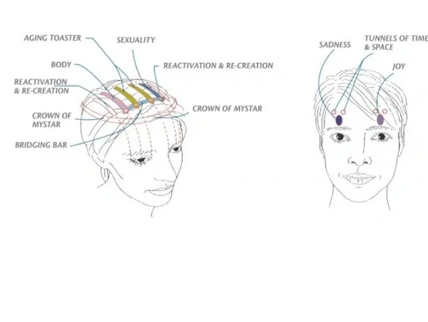 Access Consciousness Bars 32 points on Head picture 2