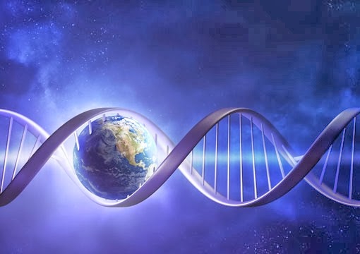 The Reconnection Energy Healing Collingwood