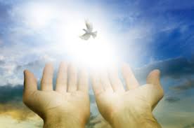 Soul Therapy Meditation Collingwood, Ontario