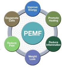 PEMF Therapy Pain Relief Healing Treatment Collingwood