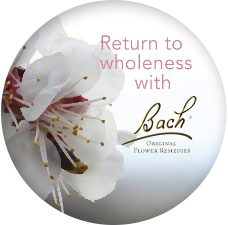 Bach Flower Remedies Collingwood, Ontario