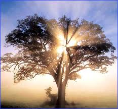 Reconnective Healing Energywork