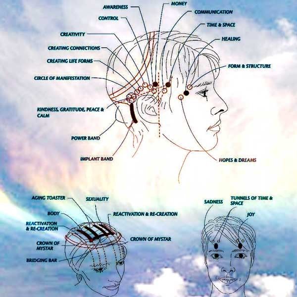 Raindrop Therapy Technique Lymphatic Drainage Collingwood