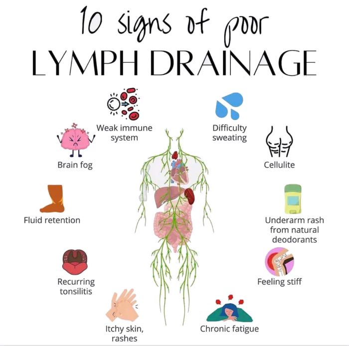 Lymphatic Drainage Collingwood, Ontario