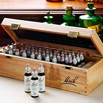 Bach Flower Consultation flower essence remedies Collingwood
